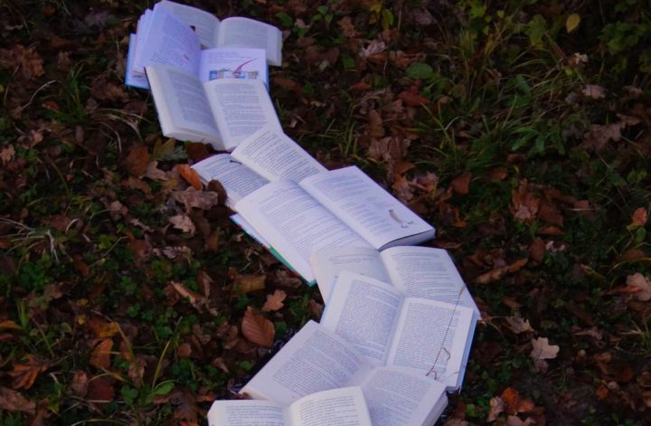 Books laid out on the ground in some leaves.