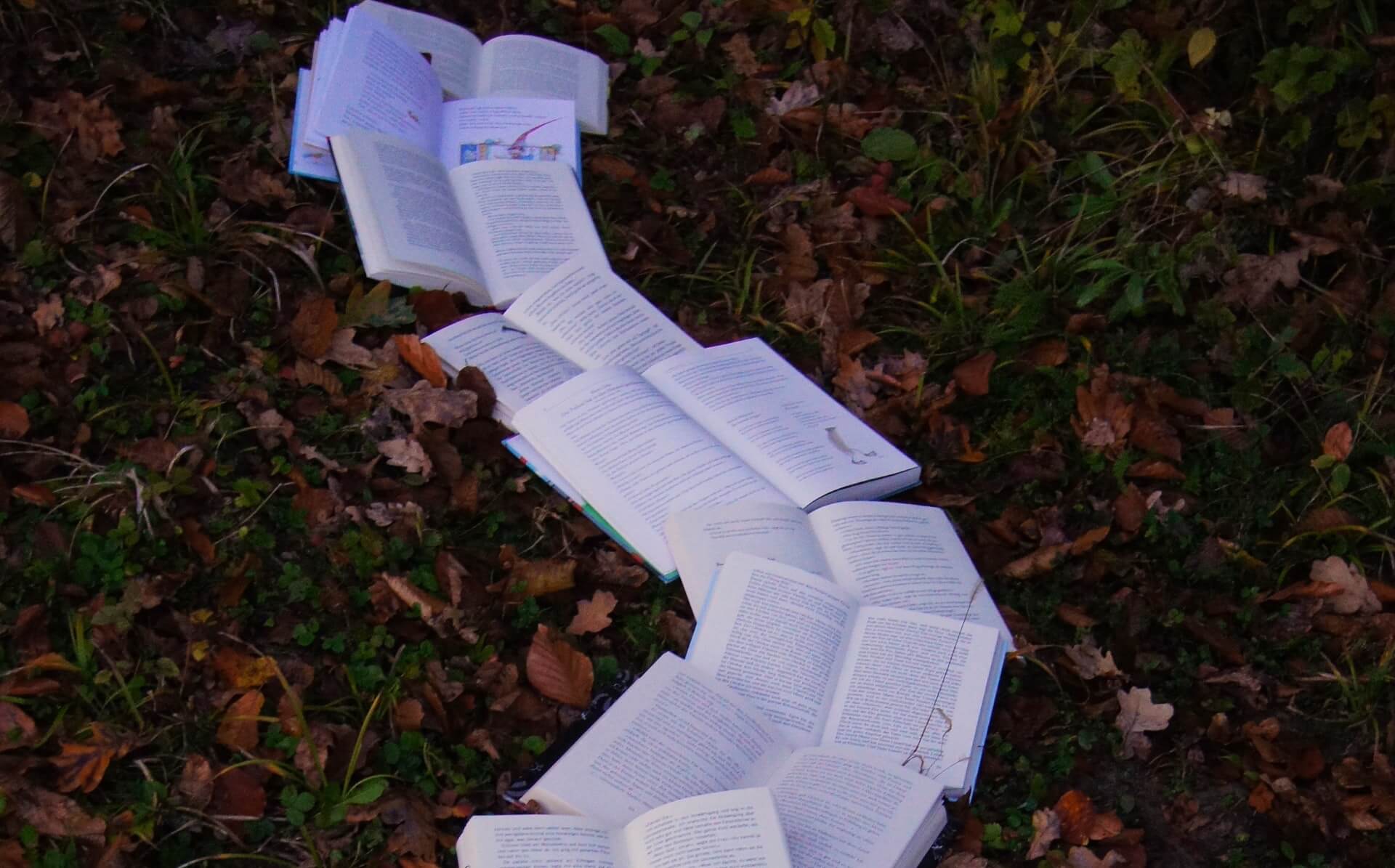 Books laid out on the ground in some leaves.